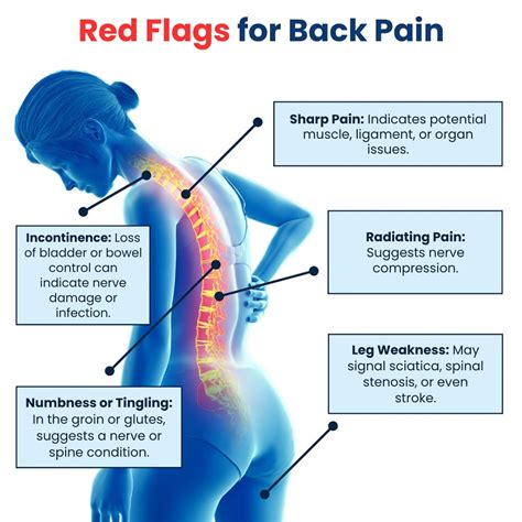 back and spine near freedom|5 signs your back pain might be an emergency .